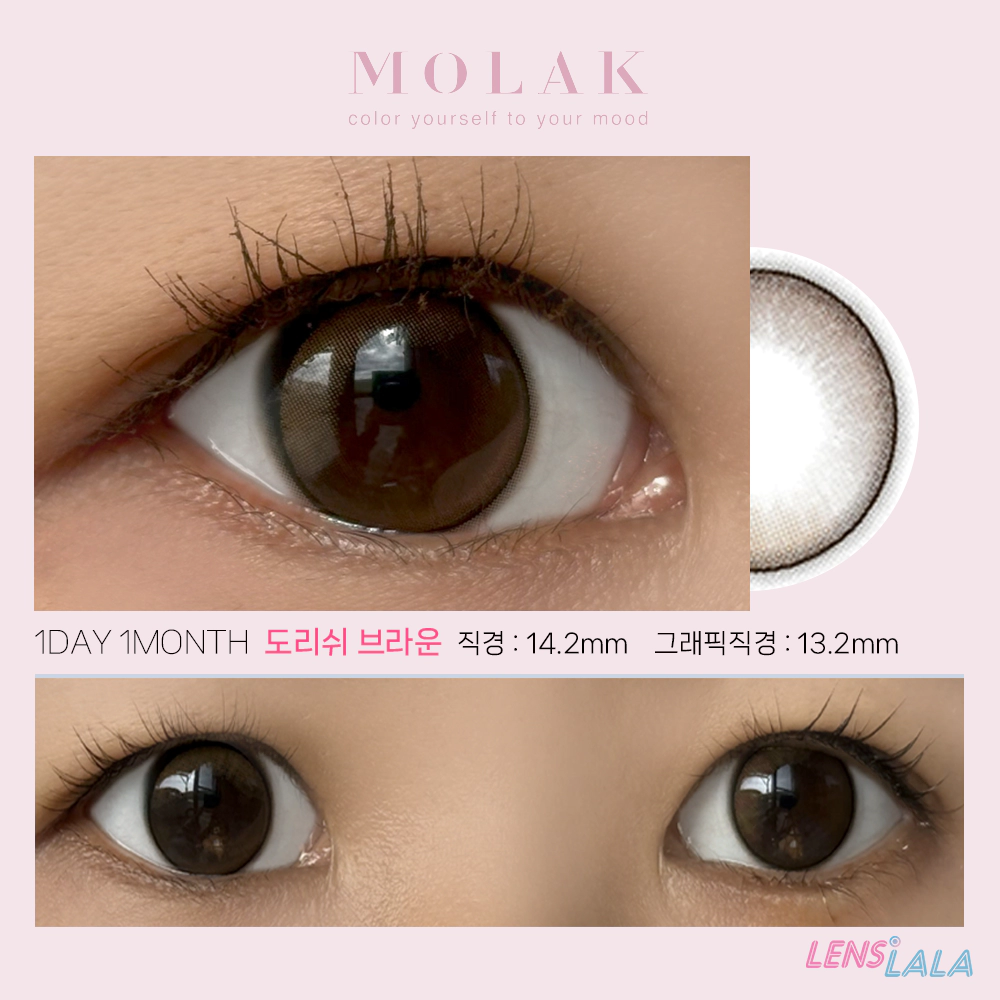 MOLAK 모라쿠 Dollish brown 도리쉬 브라운(1day/1month)리뷰