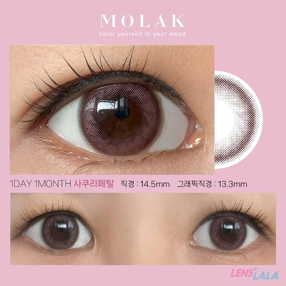 MOLAK 모라쿠 Sakura Petal 사쿠라 페탈(1day/1month) 리뷰